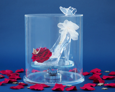 株式会社メリアルームのプレスリリース画像1