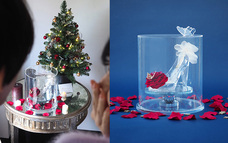 株式会社メリアルームのプレスリリース画像4