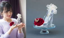 株式会社メリアルームのプレスリリース画像4