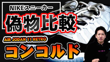 有限会社ヤマトのプレスリリース画像1