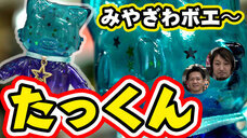 有限会社ヤマトのプレスリリース画像1