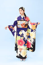 株式会社ラナルータのプレスリリース画像6