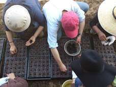 株式会社サクネスのプレスリリース画像7