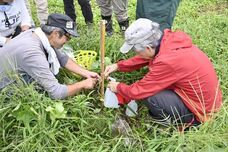 株式会社サクネスのプレスリリース画像6