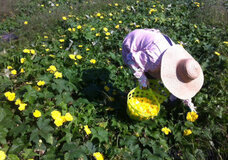 株式会社サクネスのプレスリリース画像4