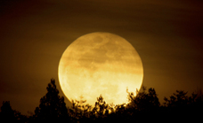 株式会社サクネスのプレスリリース画像1