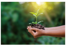 ShimojiTradingのプレスリリース画像3