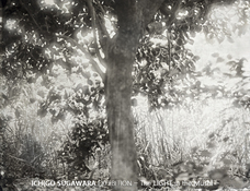 アートサロン和錆のプレスリリース画像2