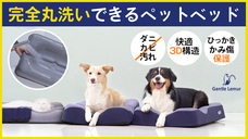 Eureka!のプレスリリース画像1