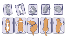 Eureka!のプレスリリース画像6