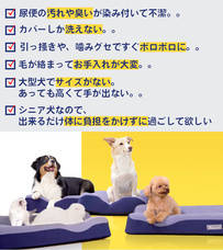 Eureka!のプレスリリース画像1