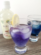 コーラルコミュニケーションズ株式会社のプレスリリース画像1