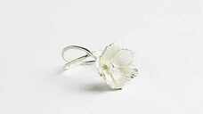 株式会社KAZAANAのプレスリリース画像1