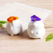 株式会社KAZAANAのプレスリリース画像3