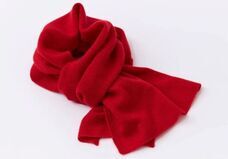 株式会社KAZAANAのプレスリリース画像3