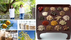 株式会社KAZAANAのプレスリリース画像1