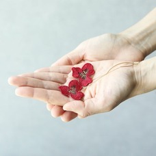 株式会社KAZAANAのプレスリリース画像4