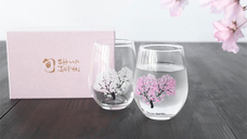 株式会社KAZAANAのプレスリリース画像2