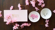 株式会社KAZAANAのプレスリリース画像1