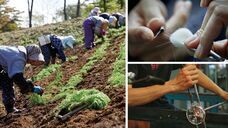 株式会社KAZAANAのプレスリリース画像1