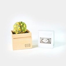 株式会社KAZAANAのプレスリリース画像1