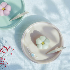 株式会社KAZAANAのプレスリリース画像4