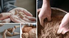 株式会社KAZAANAのプレスリリース画像1