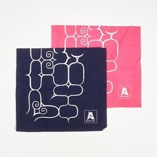 株式会社KAZAANAのプレスリリース画像3