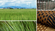 株式会社KAZAANAのプレスリリース画像1