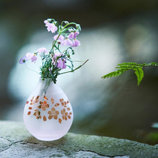 株式会社KAZAANAのプレスリリース画像4