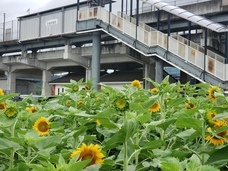 kitchen森のくまさんのプレスリリース画像2