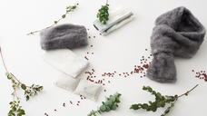 パンダ企画のプレスリリース画像1