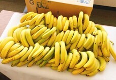 株式会社スミフルジャパンのプレスリリース画像3