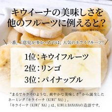 株式会社スミフルジャパンのプレスリリース画像3