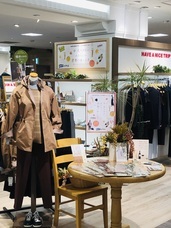 ハヴァナイストリップ株式会社のプレスリリース画像3