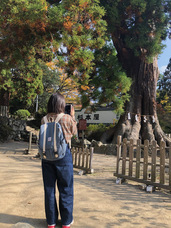 株式会社C-ONEのプレスリリース画像4