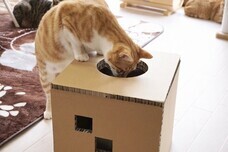 株式会社　ごえんのプレスリリース画像1