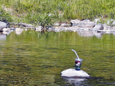 株式会社　ごえんのプレスリリース画像3