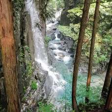 株式会社　ごえんのプレスリリース画像2