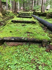 株式会社　ごえんのプレスリリース画像1