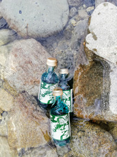 株式会社　ごえんのプレスリリース画像5