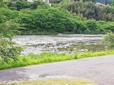 株式会社　ごえんのプレスリリース画像1