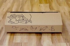 株式会社　ごえんのプレスリリース画像7