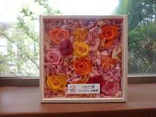 株式会社　ごえんのプレスリリース画像7