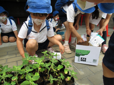 株式会社　ごえんのプレスリリース画像8