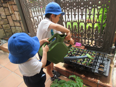 株式会社　ごえんのプレスリリース画像7