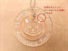 株式会社　ごえんのプレスリリース画像2