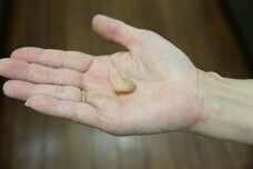 株式会社　ごえんのプレスリリース画像2