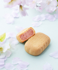 株式会社　ごえんのプレスリリース画像1