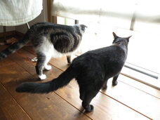 株式会社　ごえんのプレスリリース画像2